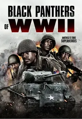《二战黑豹》全集高清完整版在线观看与剧情解析