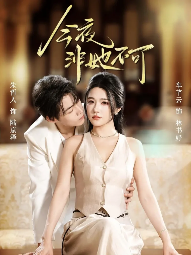 《今夜非她不可》全集高清完整版在线观看与剧情解析