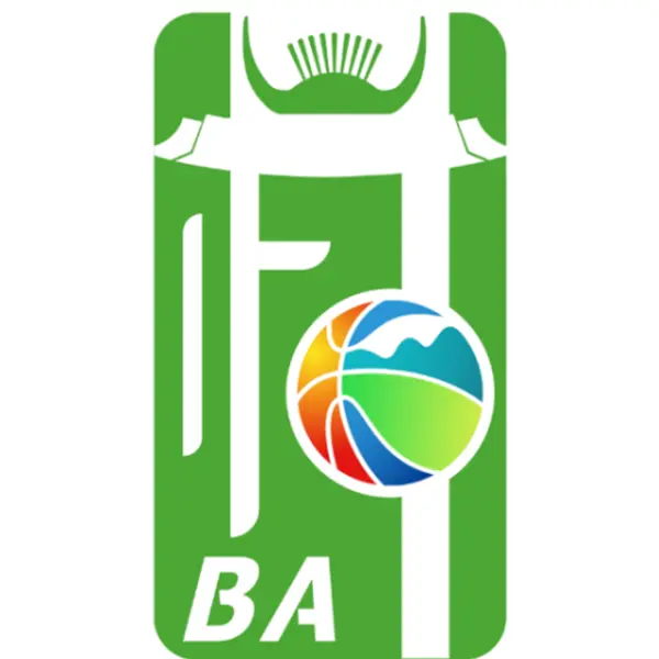 《和美乡村篮球赛 DAY7抚市会场20251102》全集高清完整版在线观看与剧情解析