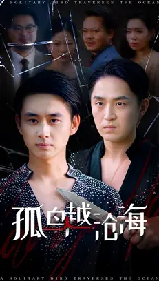 《孤鸟越沧海》全集高清完整版在线观看与剧情解析