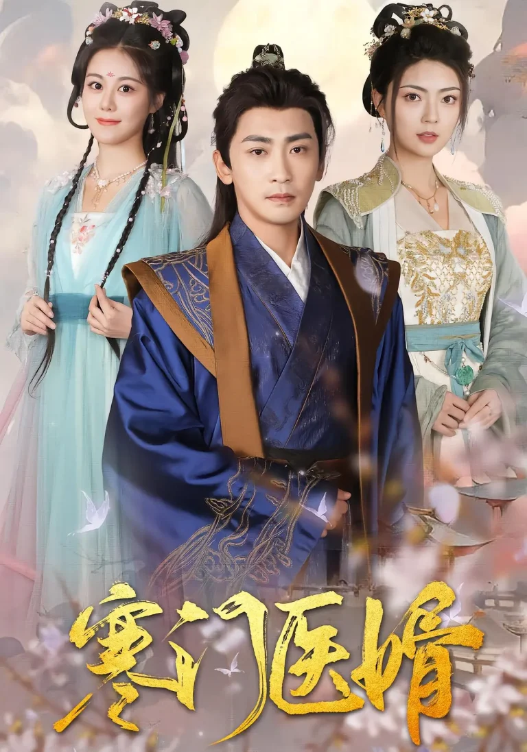 《寒门医婿》全集高清完整版在线观看与剧情解析