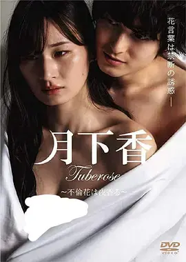 《月下香》全集高清完整版在线观看与剧情解析