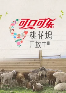 桃花坞开放中第4季