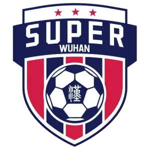 武汉城市足球超级联赛高校组 武汉城市职业学院1.6华中科技大学20251012