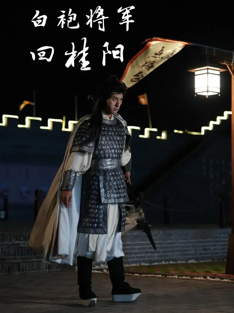 《白袍将军回桂阳》全集高清完整版在线观看与剧情解析