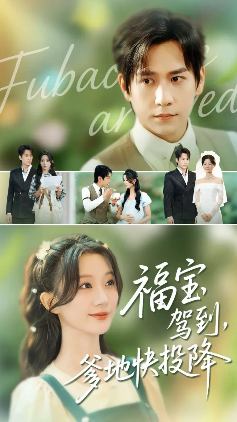 《福宝驾到，爹地快投降》全集高清完整版在线观看与剧情解析