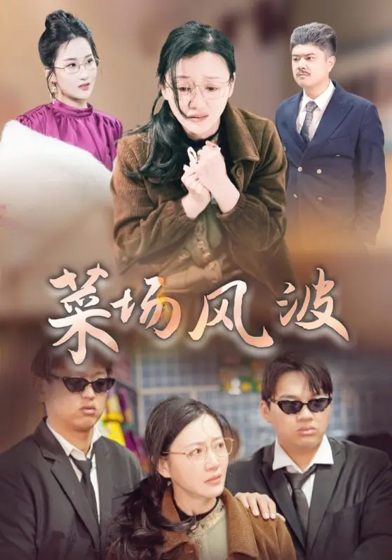 《菜场风波》全集高清完整版在线观看与剧情解析
