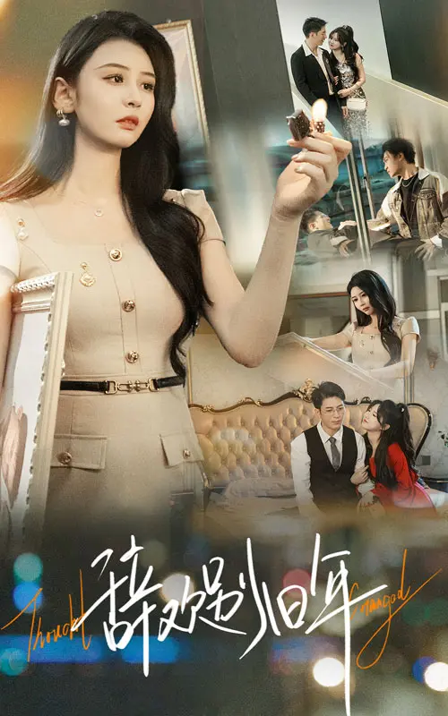 《辞欢别旧年》全集高清完整版在线观看与剧情解析