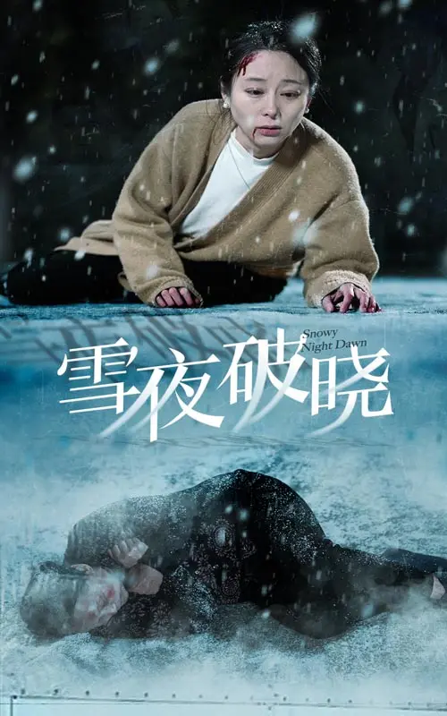 《雪夜破晓》全集高清完整版在线观看与剧情解析