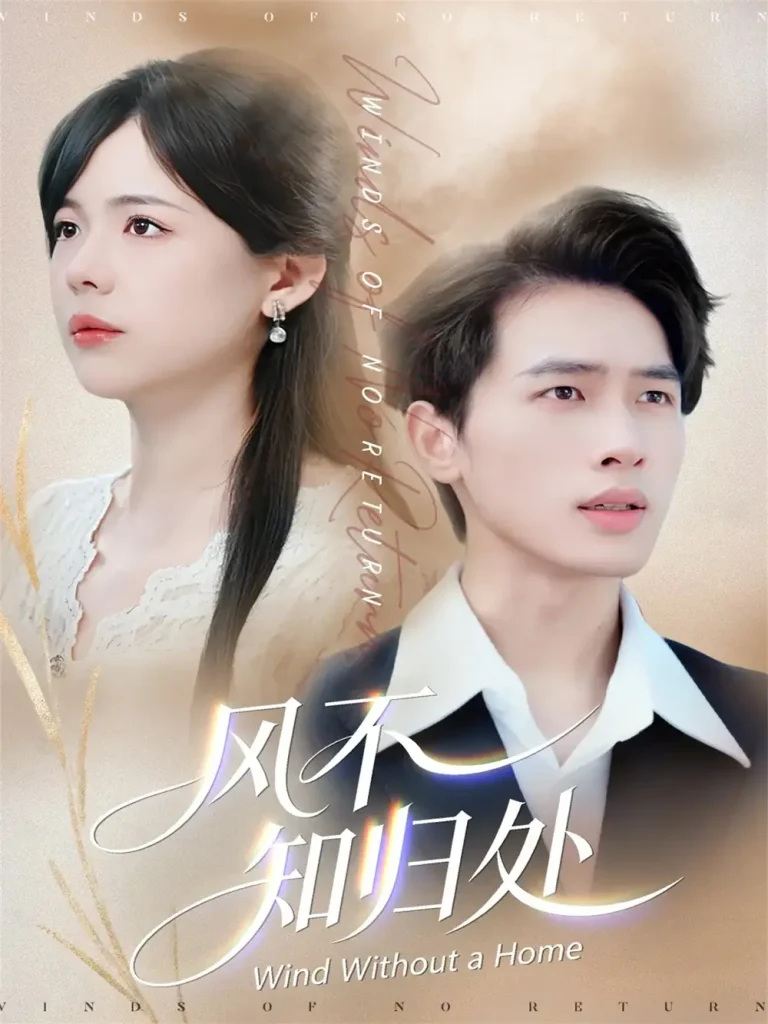 《风不知归处》全集高清完整版在线观看与剧情解析