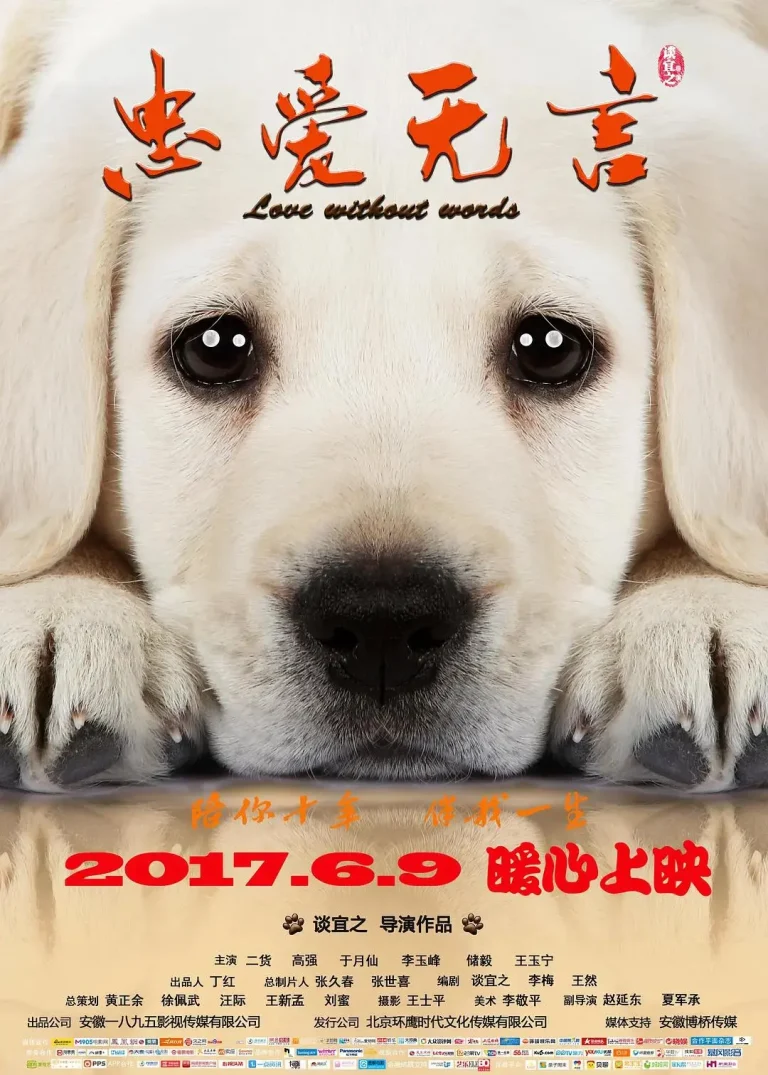 《忠爱无言》全集高清完整版在线观看与剧情解析