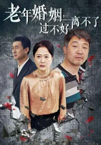 老年婚姻过不好离不了